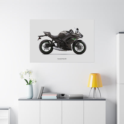 Kawasaki Ninja 650 Horizontal Poster