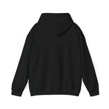 Kawasaki Logo Hoodie