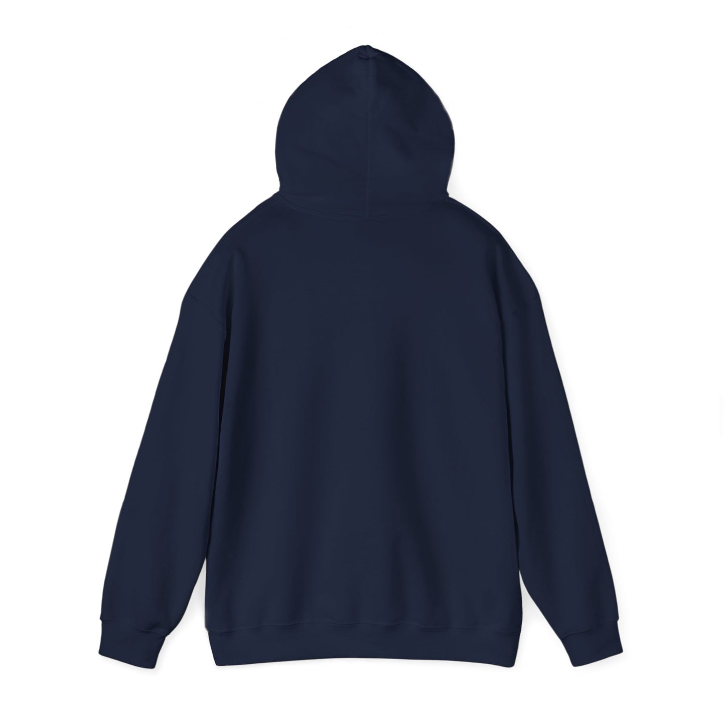 KTM Logo Hoodie