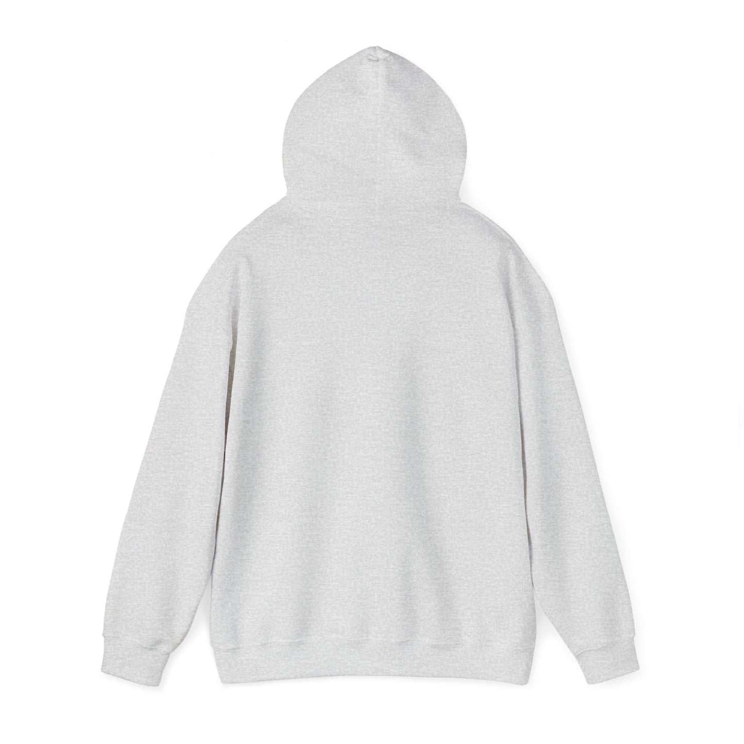 Kawasaki Logo Hoodie