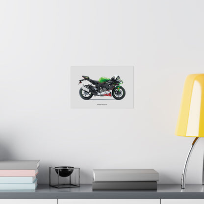 Kawasaki Ninja ZX-6R Horizontal Poster