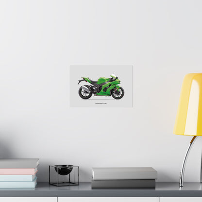 Kawasaki Ninja ZX-10RR Horizontal Poster