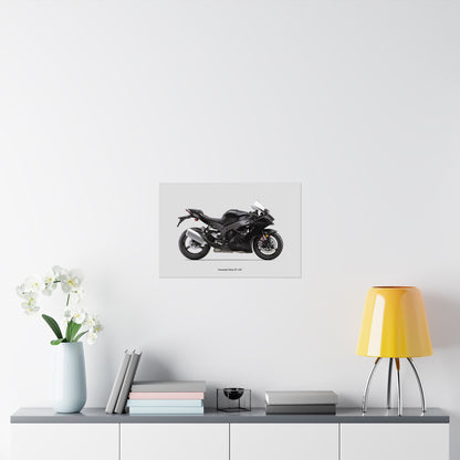 Kawasaki Ninja ZX-10R Horizontal Poster