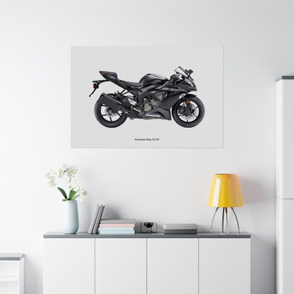 Kawasaki Ninja ZX-6R Horizontal Poster