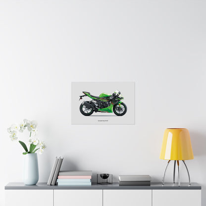 Kawasaki Ninja ZX-6R Horizontal Poster